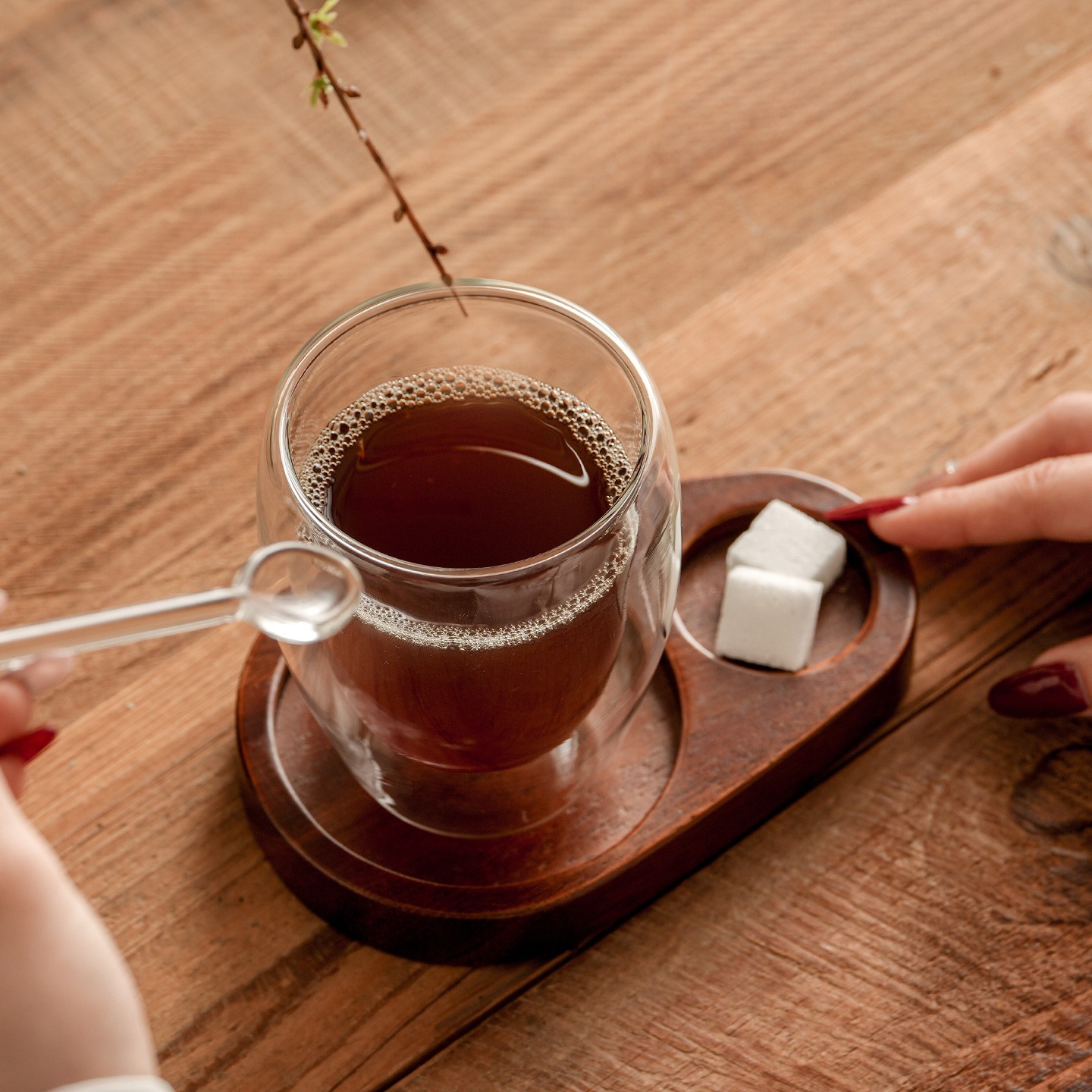 Amerikanische Doppelwandige Gl – Espresso Cup Saucer Bewertung und Preis